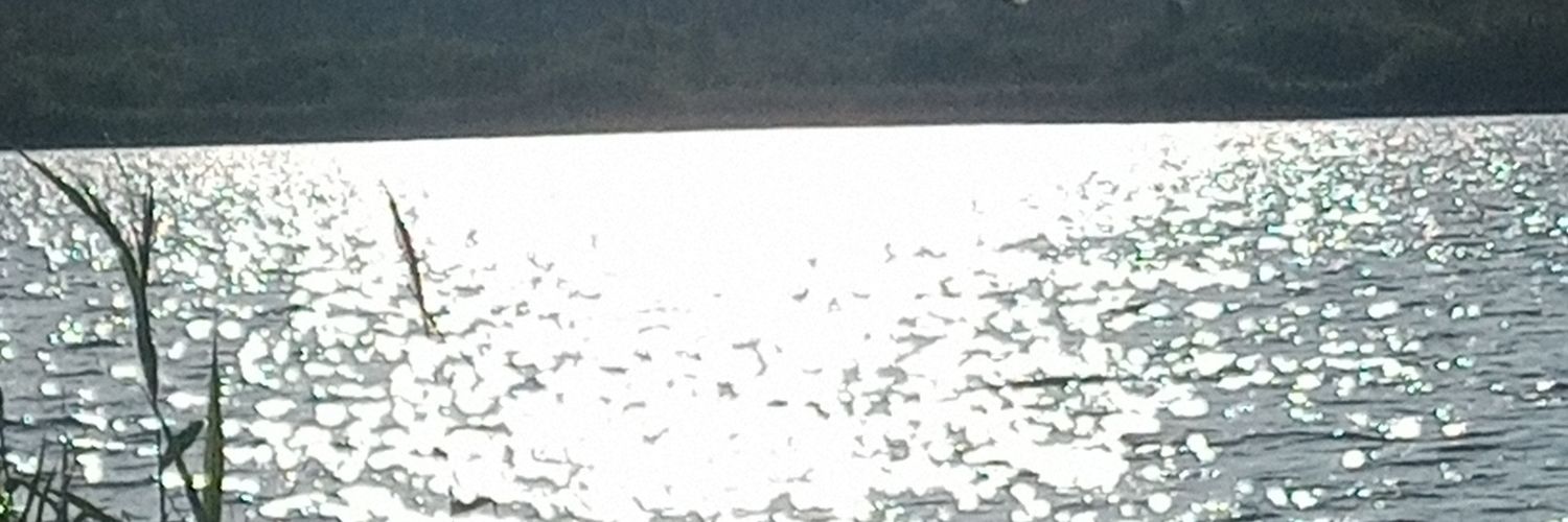 Dagmar Brockstedt banner