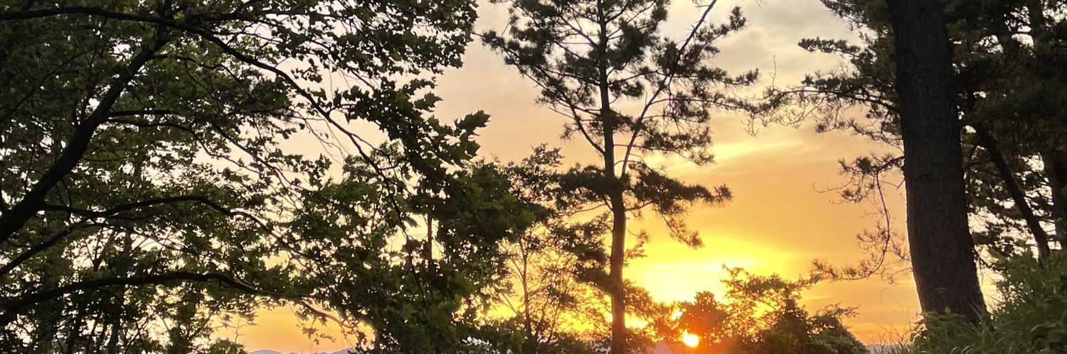 2stForever's profile banner image