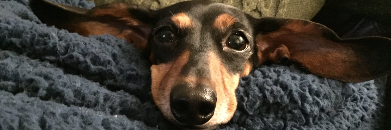 EKnorr2's profile banner image