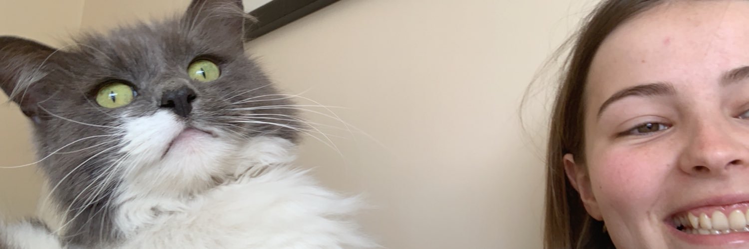 HannahBeare's profile banner image