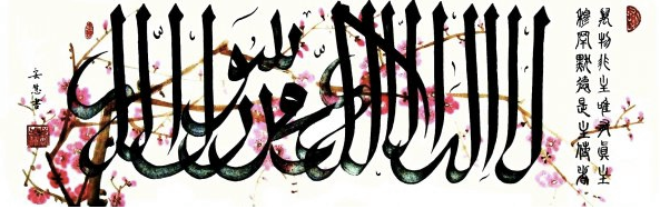 haxrullah's profile banner image
