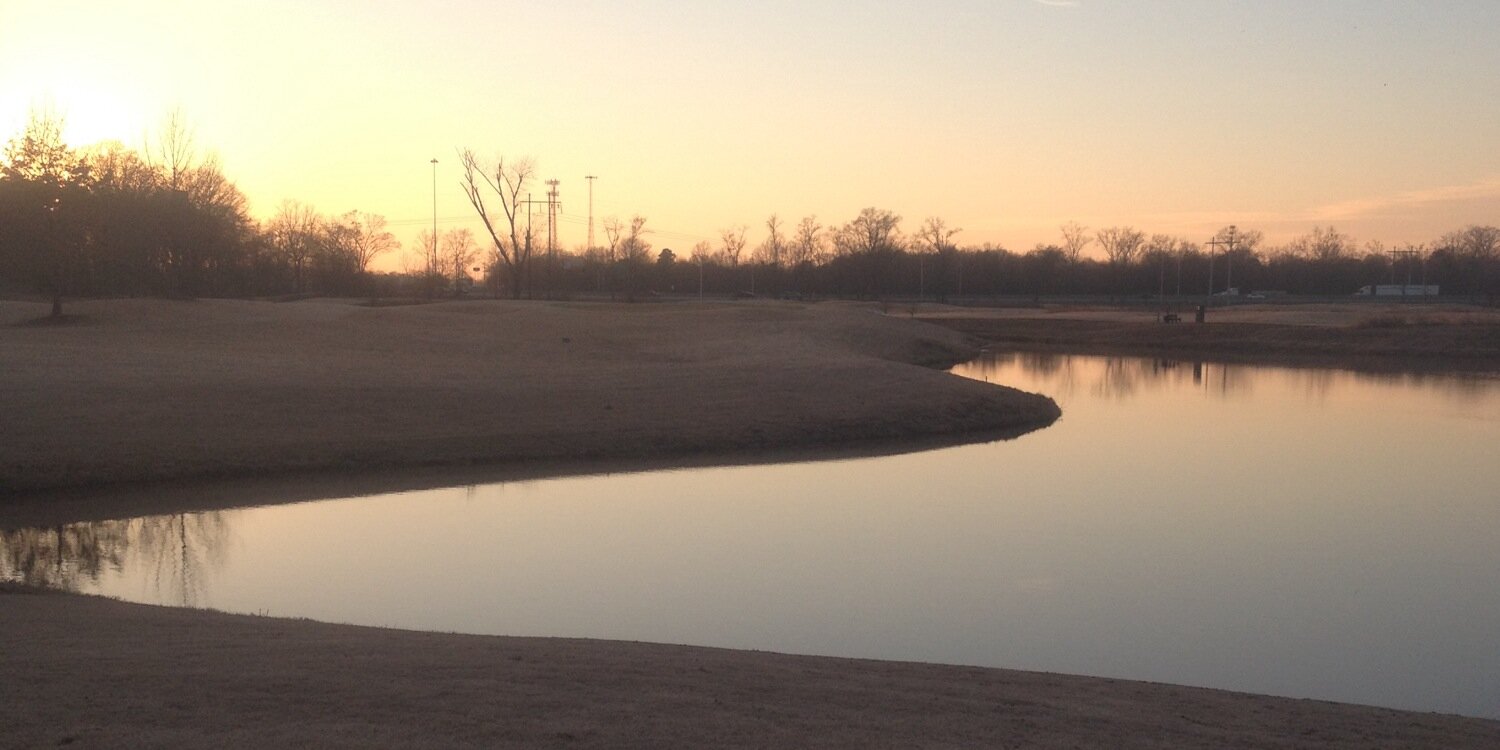 Sydney Robbins banner