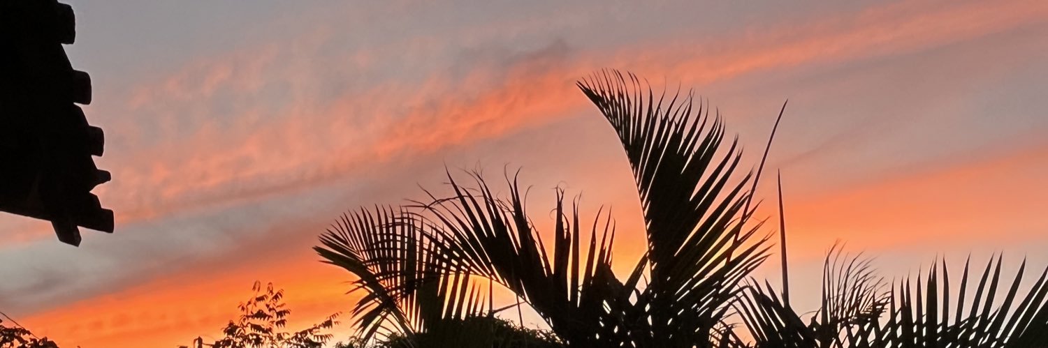 TeodoroStephany's profile banner image