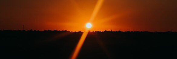 Meta Olivia Sasdesi banner