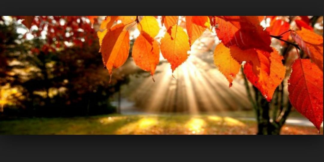 _monicavella's profile banner image