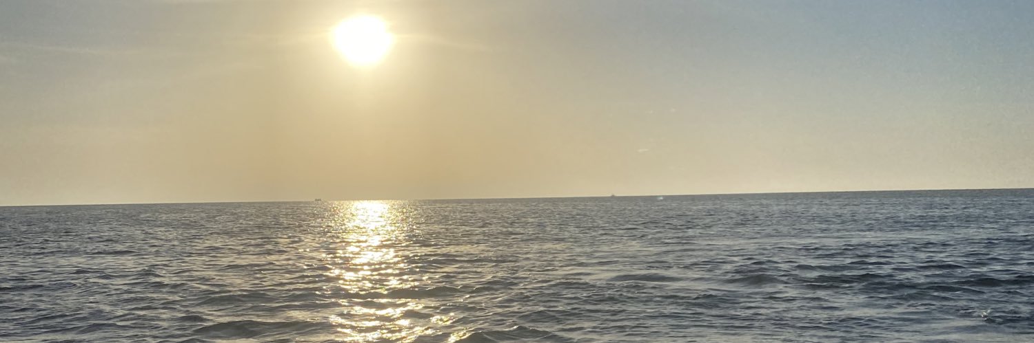 naiibell's profile banner image