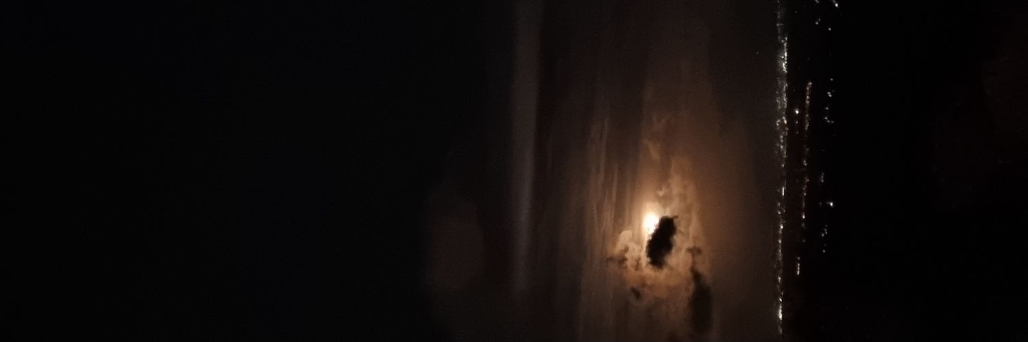 abiexue's profile banner image
