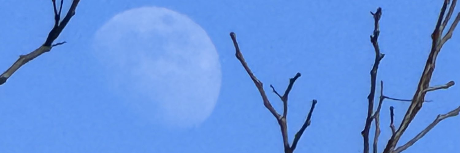 maucaol's profile banner image