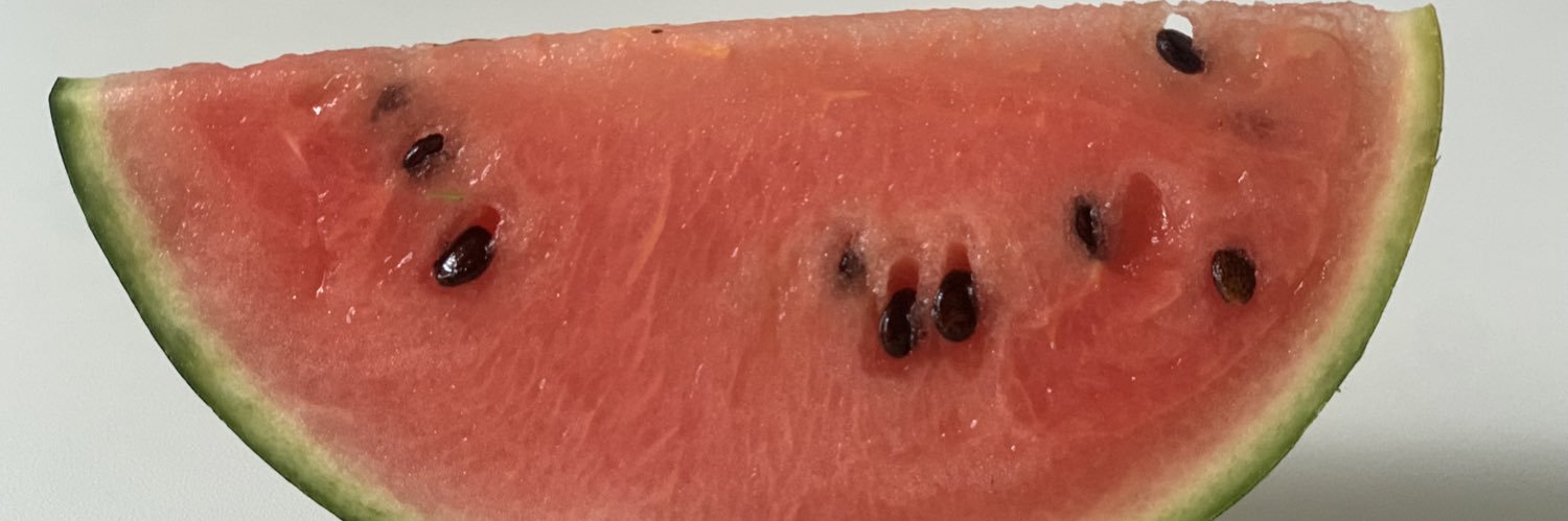 Estamos unidos ✌🏽🇲🇽🇨🇭🇵🇸 banner