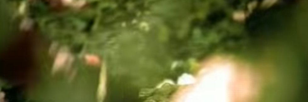 kqBEATS's profile banner image