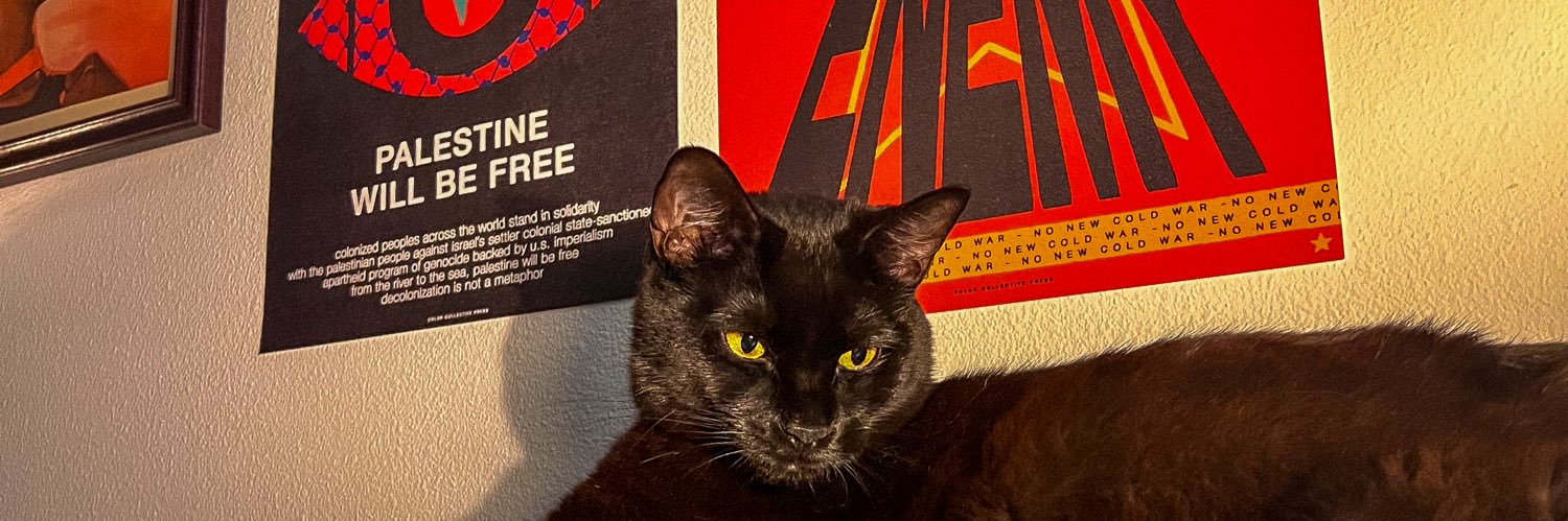 sofie ☭'s banner