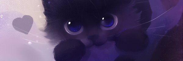 shadowproto's profile banner image