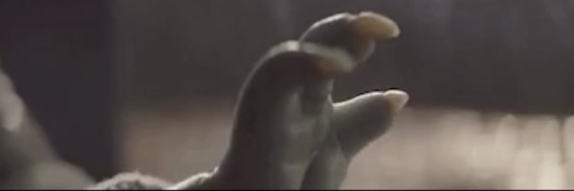 ChristianTay2's profile banner image