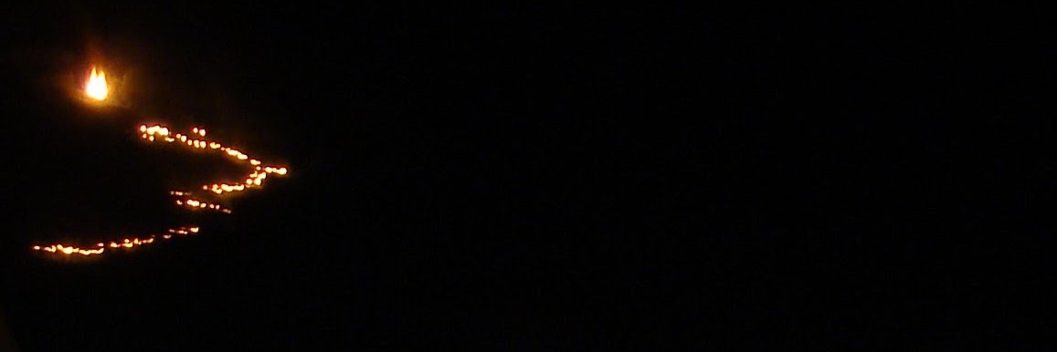 mireiatwit's profile banner image