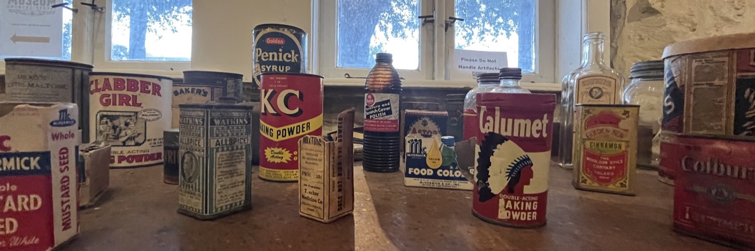 Ana Fefe 🍃✨🏳️‍🌈 miss lady bitch banner