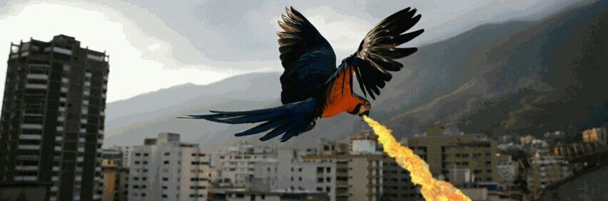 erlckc's profile banner image