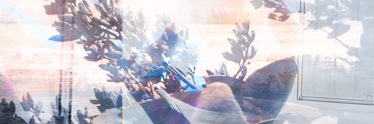 Coops banner