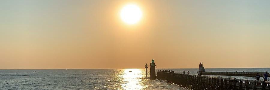 igor minteguia banner