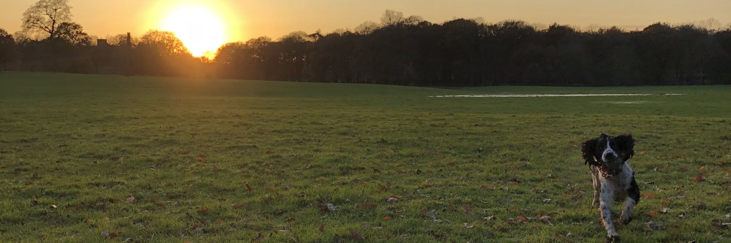 SeanJesson's profile banner image