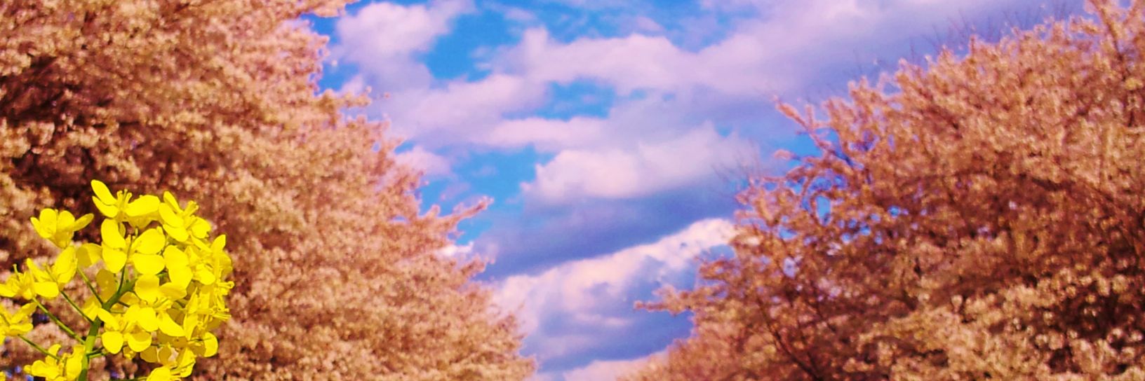 8tfm0's profile banner image