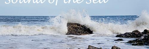 Space For Peace banner