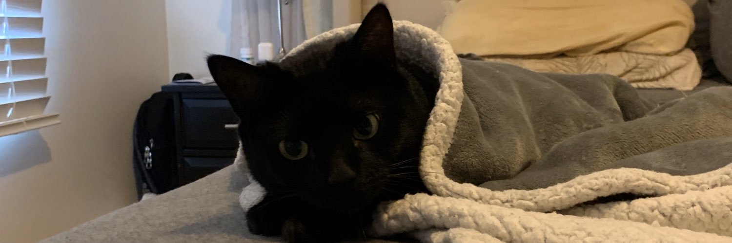 haigiscody's profile banner image
