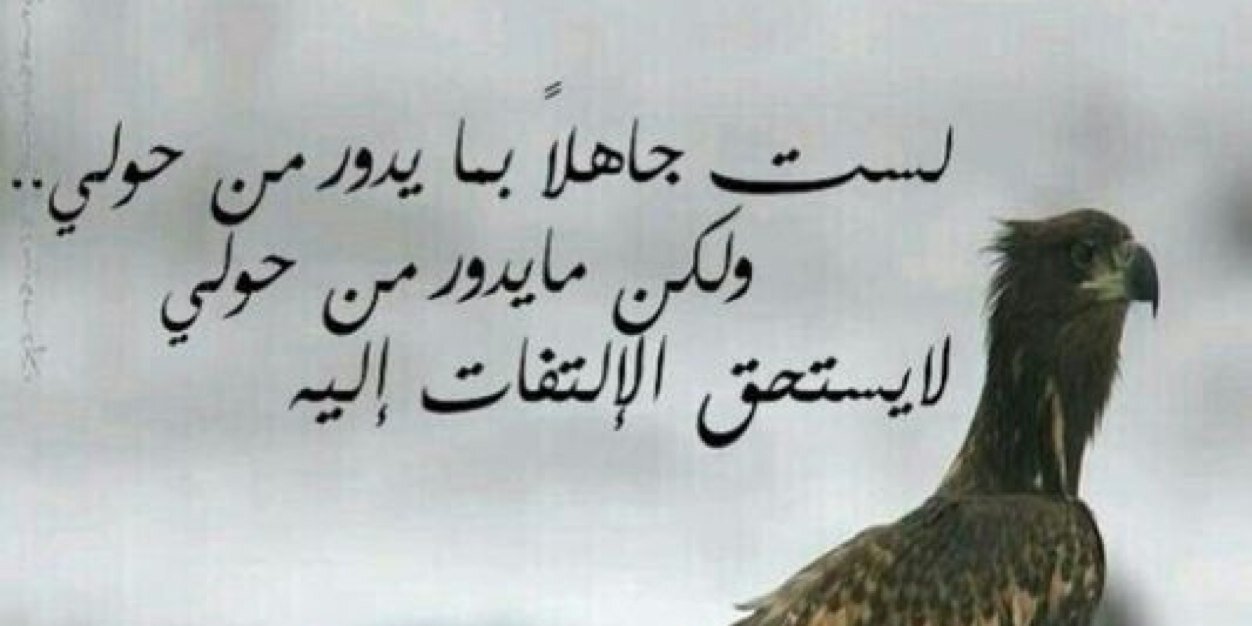 abulaian2's profile banner image