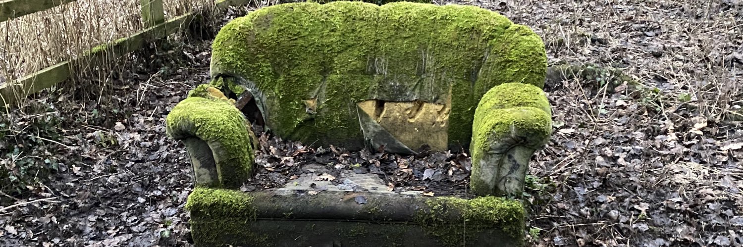 awills29's profile banner image
