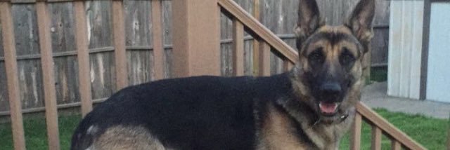 Trevor DeBaere banner