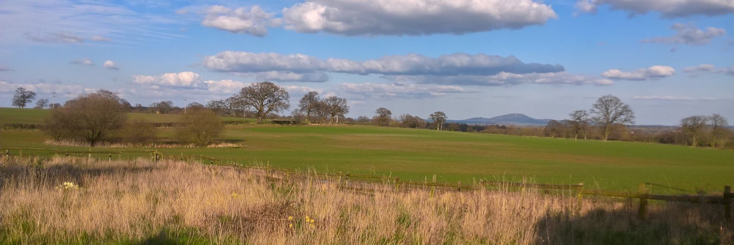 Tony Lawrence banner