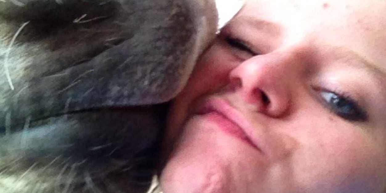 lovespliniee's profile banner image