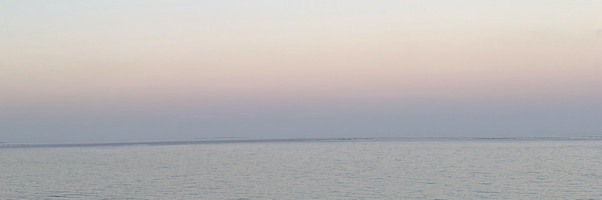 carlaps17's profile banner image
