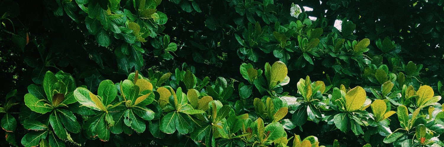 httpames's profile banner image