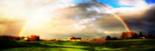 TrystingTree Profile Banner