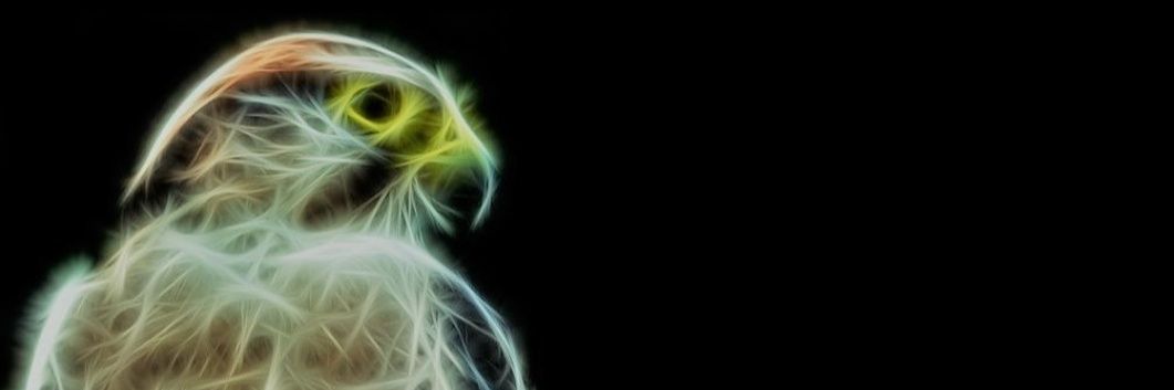 EppingForestFalcons banner