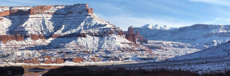 David O'Donnell banner