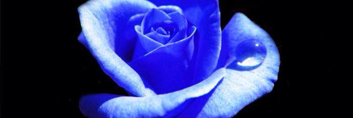 g_cantore's profile banner image