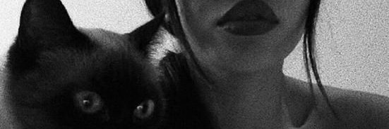 Dny Hayzi banner