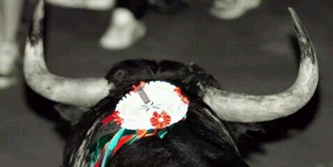 martinezmos's profile banner image
