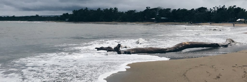 Los_Mannn's profile banner image