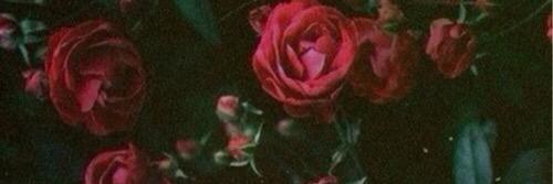 maljkslaugh's profile banner image