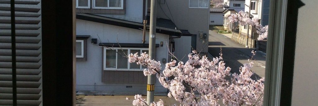 neo2ux's profile banner image