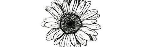 mvdezl's profile banner image