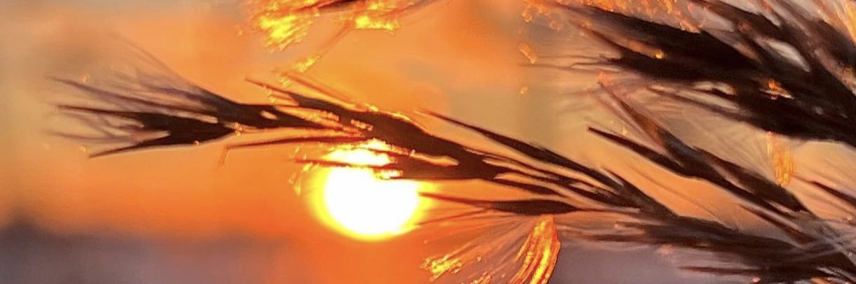 Reydji_van's profile banner image