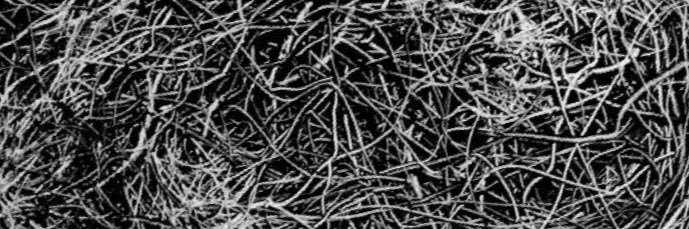 واحد من الناس banner