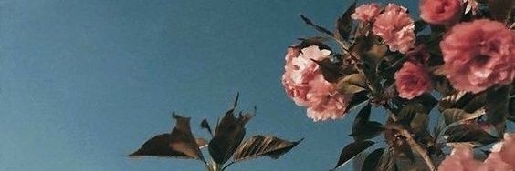 astrihdapp25's profile banner image