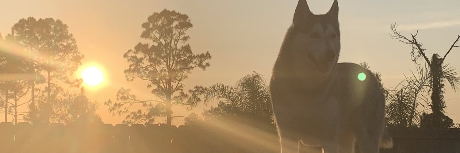 JJuliiitza's profile banner image
