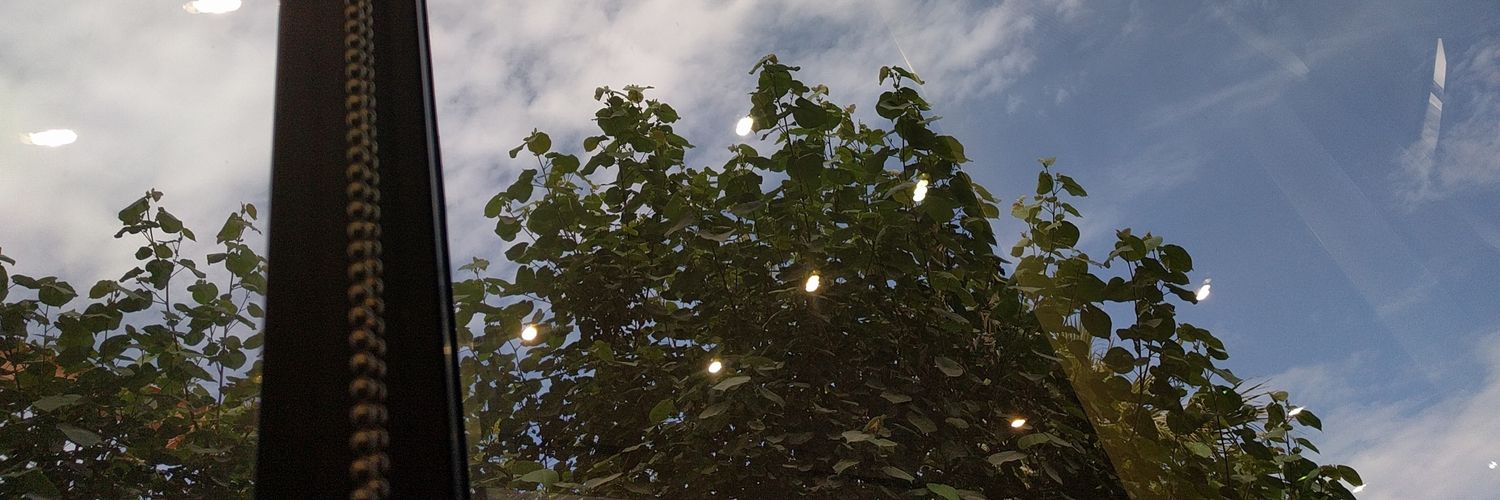 nasserz1416's profile banner image