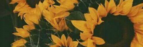 votremonde's profile banner image