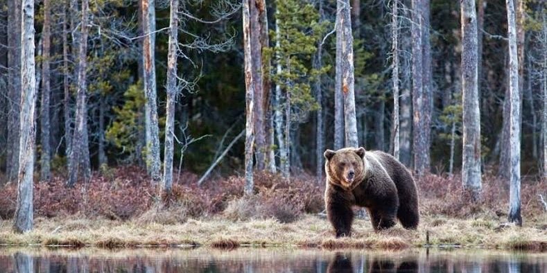 ursus405's profile banner image